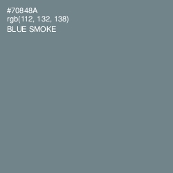 #70848A - Blue Smoke Color Image